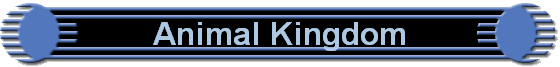 Animal Kingdom