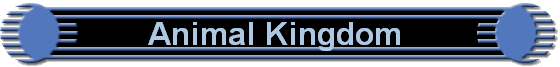 Animal Kingdom 
