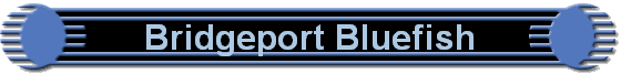 Bridgeport Bluefish