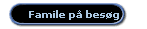 Famile p� bes�g