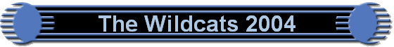 The Wildcats 2004