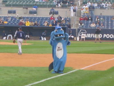 Bridgeport Bluefish