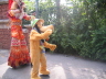 Animal Kingdom
